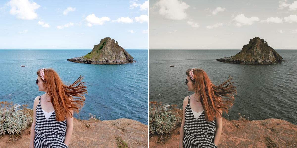 Portrait Desaturated Brown 2023