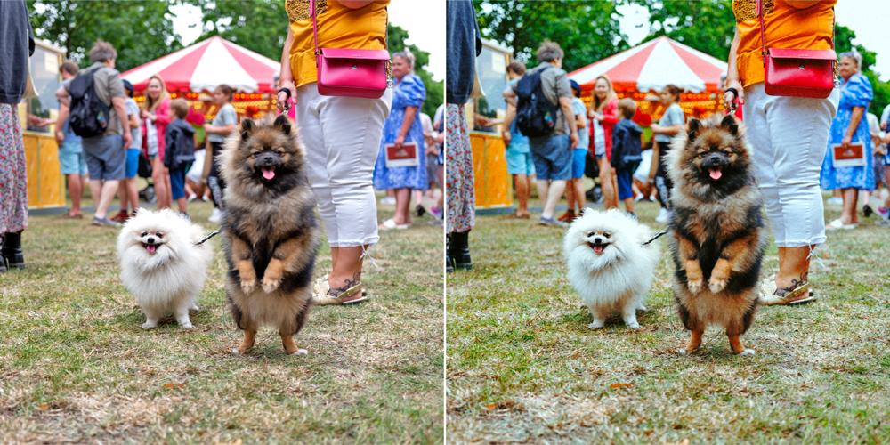 Andre - Dramatic Lite