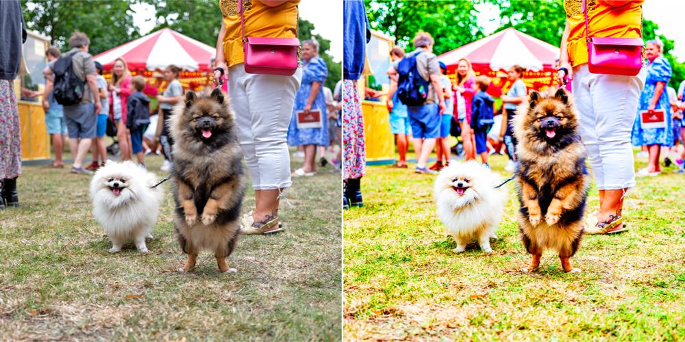 Nightime Skyline Set