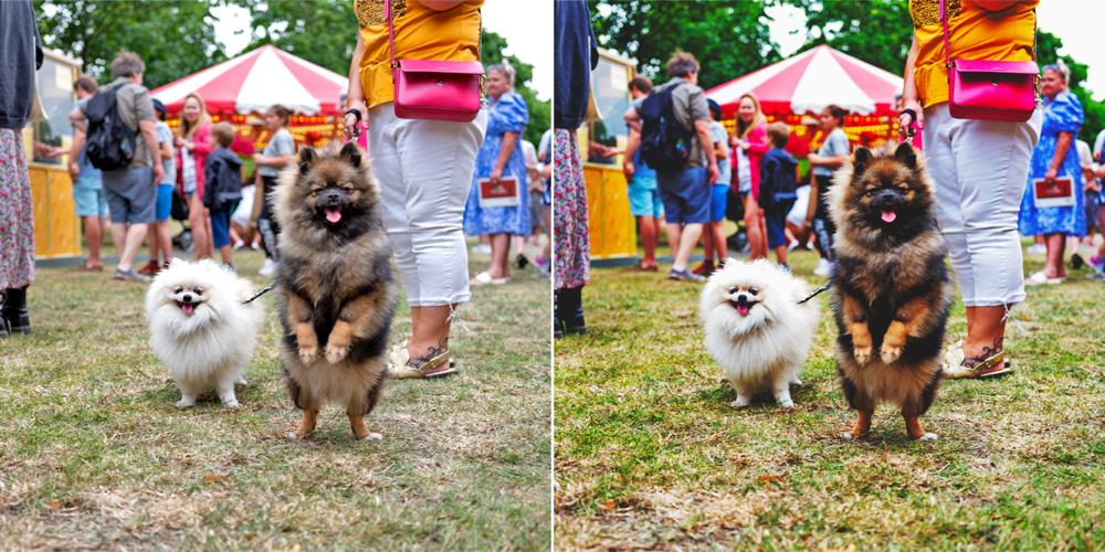 2025 高越ヒルクライム D-log M