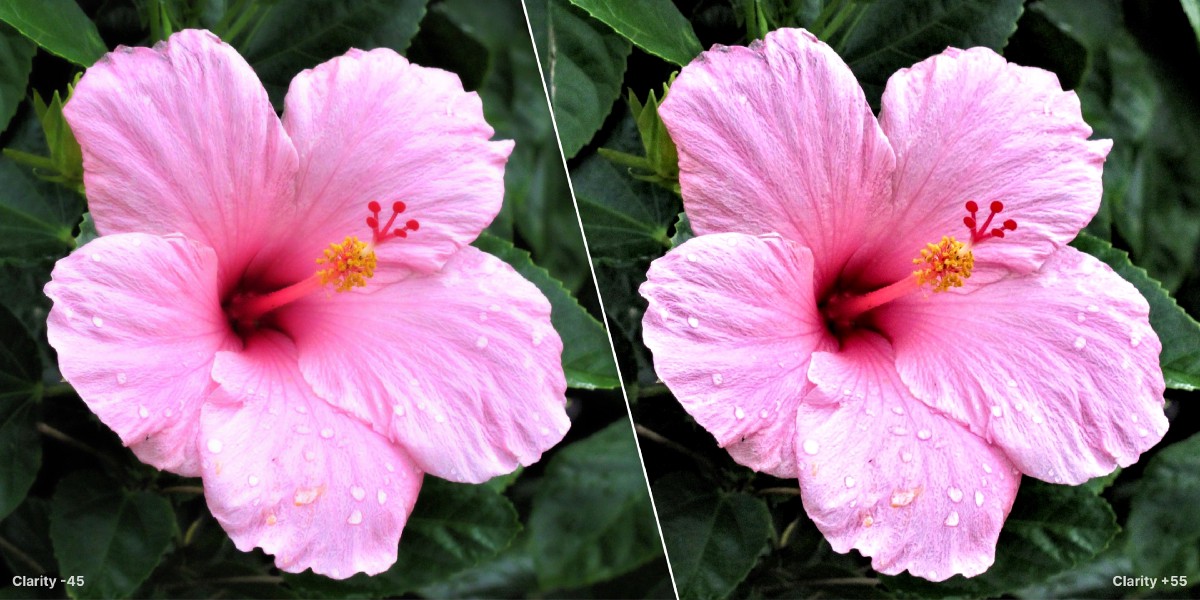 Befor and after flower with Clarity